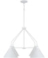Alden 4-Light Chandelier Matte White