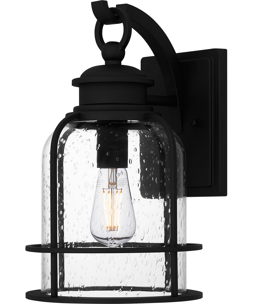 Bowles Medium 1-light Outdoor Wall Light Earth Black