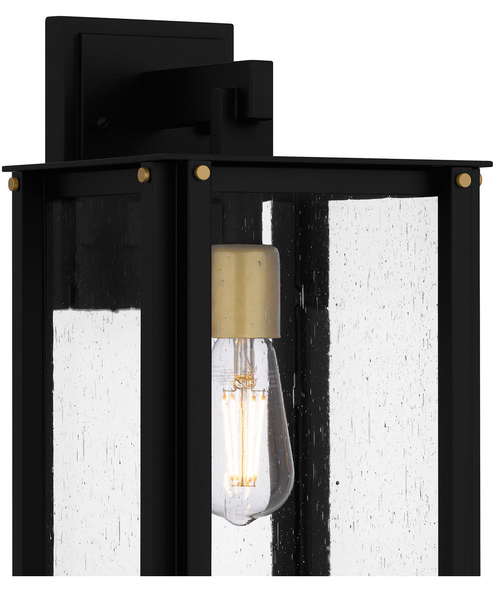 Robbins Medium 1-light Outdoor Wall Light  Coastal Armour Aluminum Matte Black