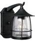 Prairie 1-Light Medium Wall Lantern Gilded Iron
