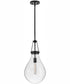 Eloise 1-Light Small Pendant in Black