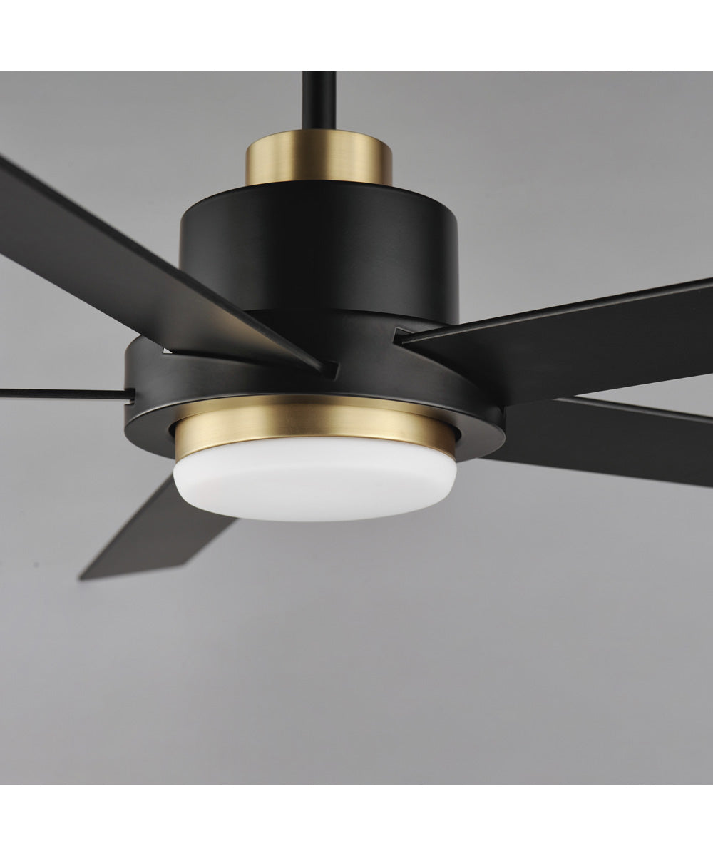 Daisy 60 inch 5-Blade Fan w LED Light Kit Black / Gold