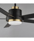 Daisy 60 inch 5-Blade Fan w LED Light Kit Black / Gold