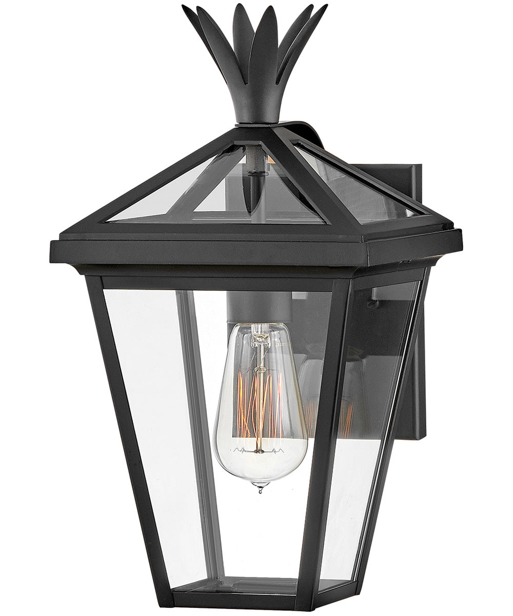 Palma 1-Light Small Outdoor Wall Mount Lantern in Black
