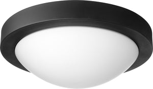 13"W 2-light Wall Mount Light Fixture Noir