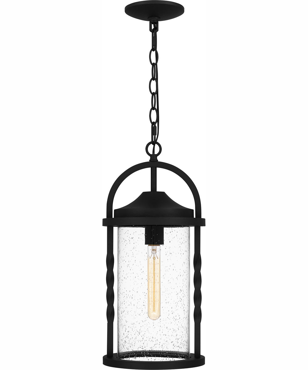 Reece Large 1-light Outdoor Pendant Light  Coastal Armour Aluminum Earth Black