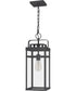 Keaton Large 1-light Outdoor Pendant Light  Coastal Armour Aluminum Mottled Black
