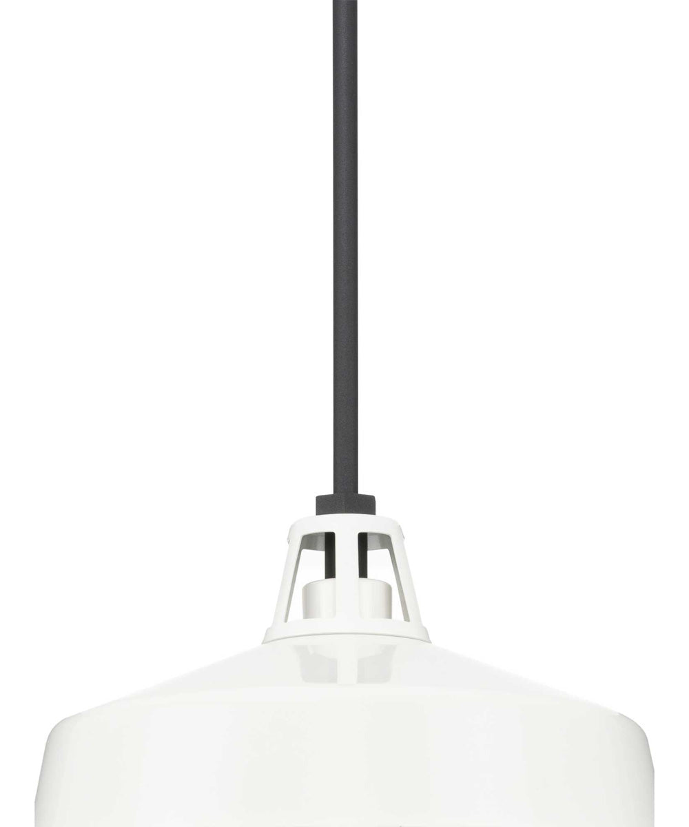 Cedar Springs  1-Light Textured Black Metal Shade Farmhouse Outdoor Hanging Light White