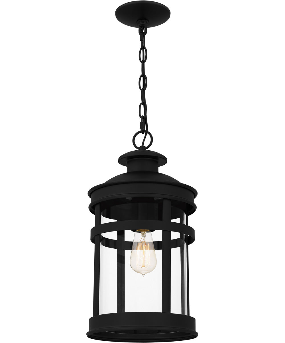 Scout Large 1-light Outdoor Pendant Light Matte Black