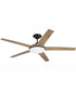 60" Delaney 1-Light Indoor/Outdoor Ceiling Fan Espresso