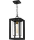 Infinger Large 1-light Outdoor Pendant Light  Coastal Armour Earth Black