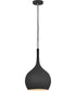 Ziggy 1-Light Medium Pendant in Black