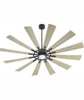 Ceiling Fans with Lights