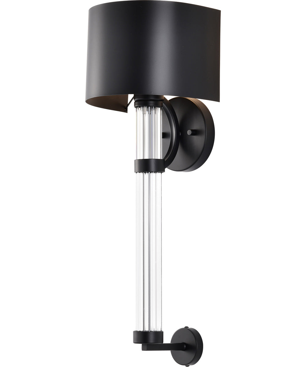 Teagon 1-Light Vanity & Wall Matte Black