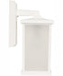 Resilience Lanterns 1-Light Outdoor Wall Lantern Matte White