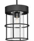 Burgess 1-Light Modern Farmhouse Pendant Matte Black