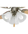 Ceiling Fans and Accessories