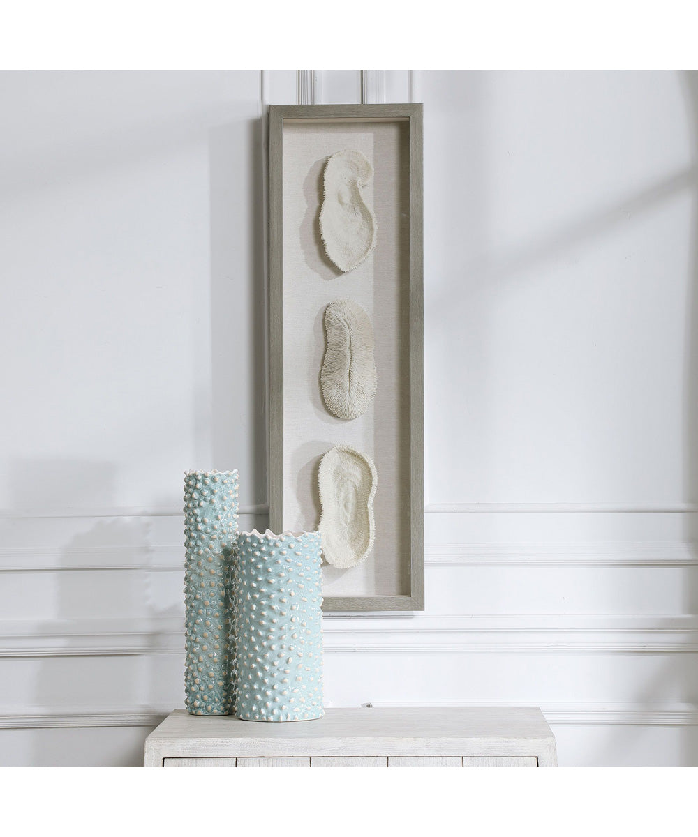 White Coral Shadow Box