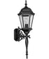 Welbourne 1-Light Large Wall Lantern Textured Black