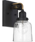 Rushton 1-Light Clear Glass Farmhouse Bath Vanity Light Graphite