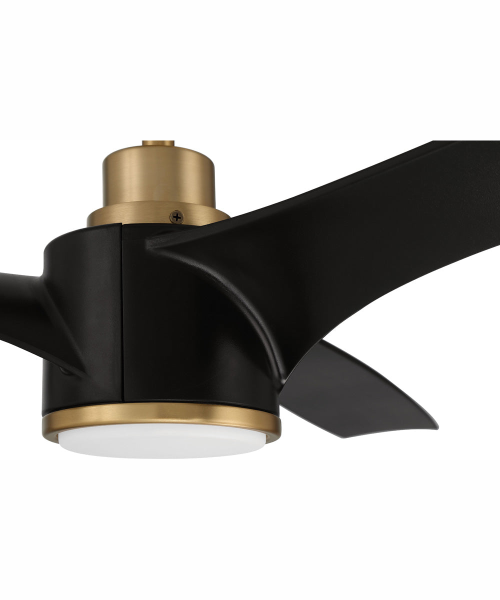 60" Phoebe 1-Light Ceiling Fan Flat Black/Satin Brass