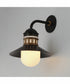 Admiralty 1-Light Outdoor Wall Sconce Black / Antique Brass