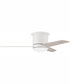 44" Cole II 1-Light Ceiling Fan White