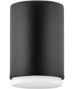 Cedric 1-Light Extra Small Flush Mount in Black