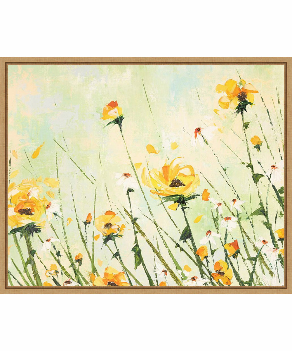 Framed Chrysanthemum and Daisy Field by Emma Coghlan Canvas Wall Art Print (28  W x 23  H), Sylvie Maple Frame