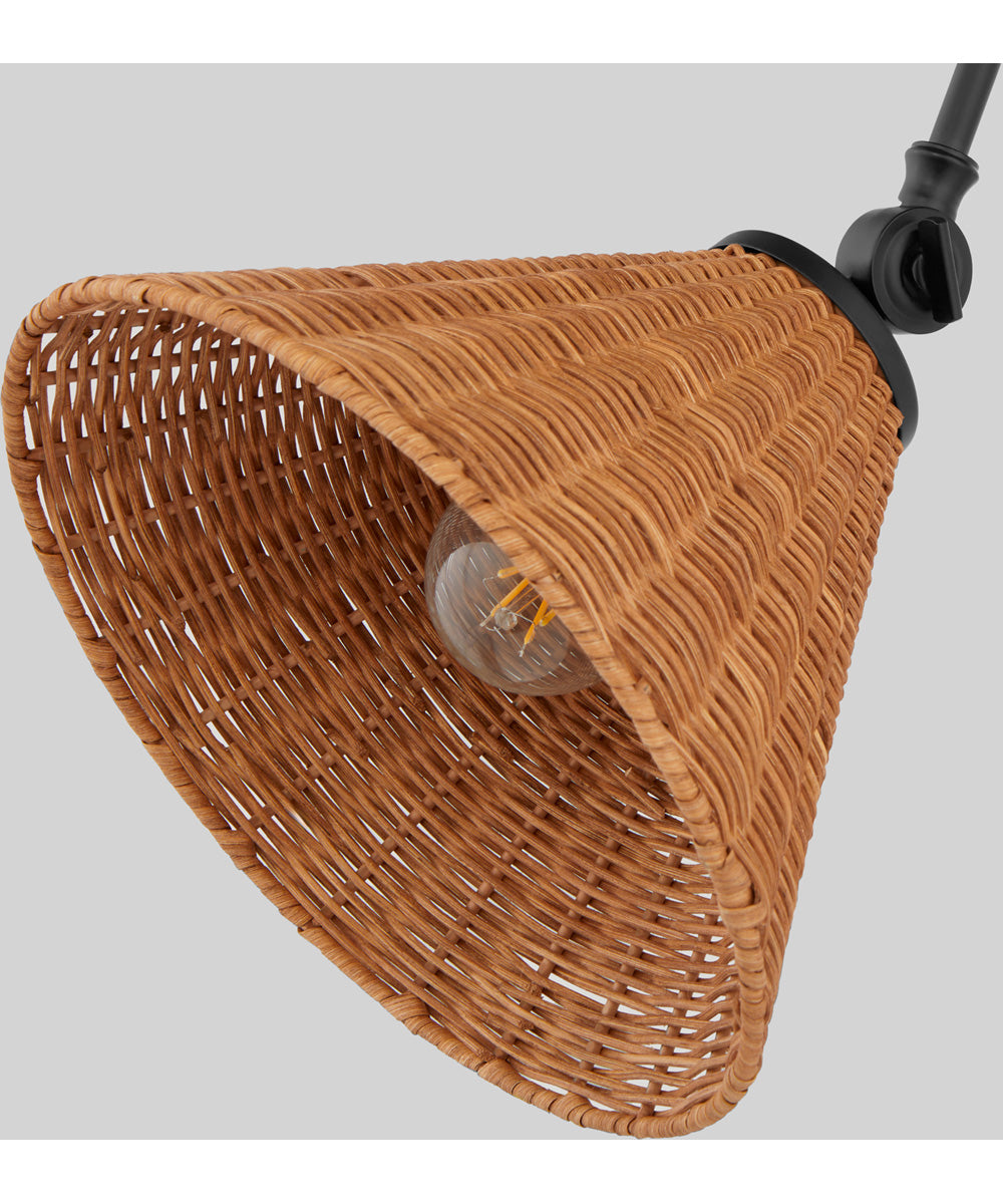 1-light Wall Mount Light Fixture Matte Black