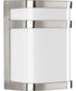 Valera LED 1-Light LED Linear Lantern Brushed Nickel