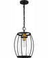 Thyme 1-light Mini Pendant Earth Black