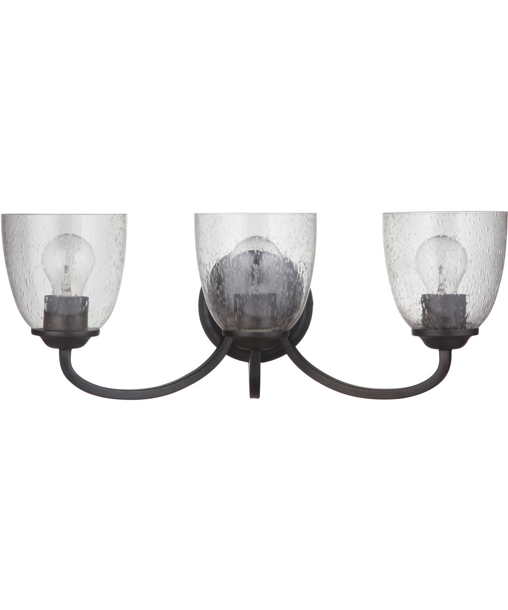 Serene 3-Light Bath Vanity Light Espresso