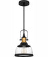 Quoizel Piccolo Pendant Small 1-light Mini Pendant Matte Black