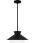 Quoizel Pendant Large 1-light Pendant Matte Black