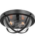 Lincoln 2-Light Close-to-Ceiling Matte Black