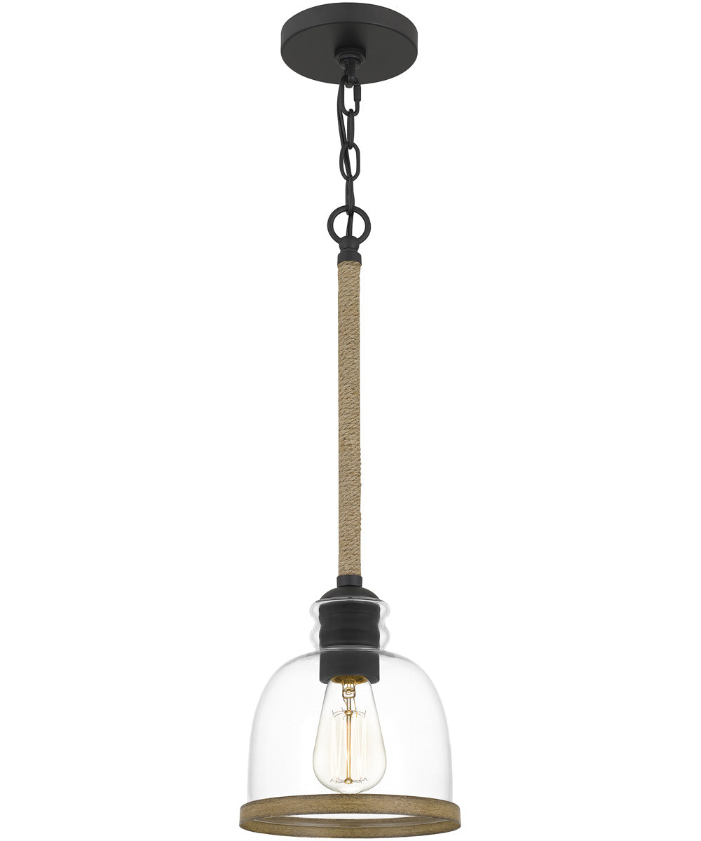 Wagner Small 1-light Mini Pendant Matte Black