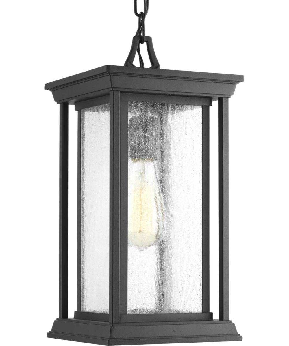 Endicott 1-Light Hanging Lantern Textured Black