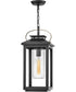 Atwater Coastal Elements  1-Light Medium Outdoor Hanging Lantern in Black