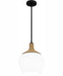 Quoizel Piccolo Pendant 1-light Mini Pendant Matte Black