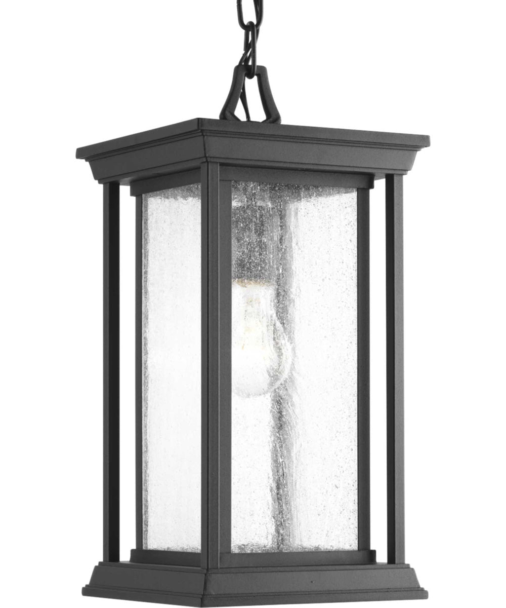 Endicott 1-Light Hanging Lantern Textured Black