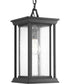 Endicott 1-Light Hanging Lantern Textured Black