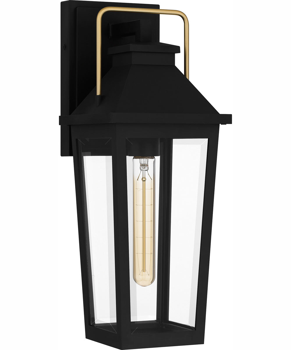 Buckley Medium 1-light Outdoor Wall Light Coastal Armour Aluminum Matte Black