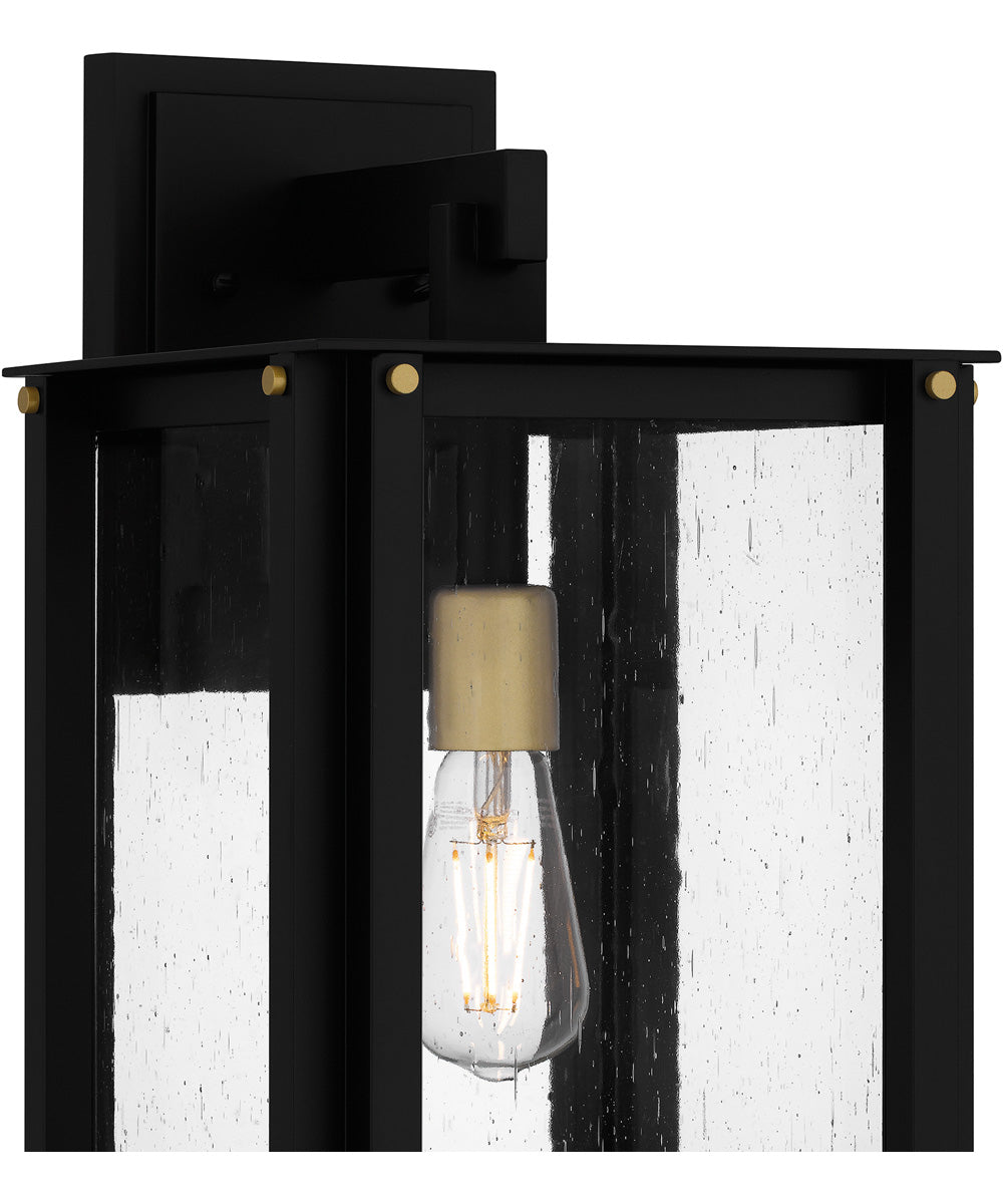 Robbins Large 1-light Outdoor Wall Light  Coastal Armour Aluminum Matte Black