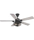 Greer 54" 5-Blade Ceiling Fan Gilded Iron