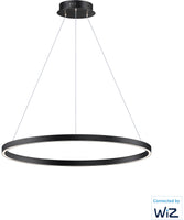 LED Pendant Lights