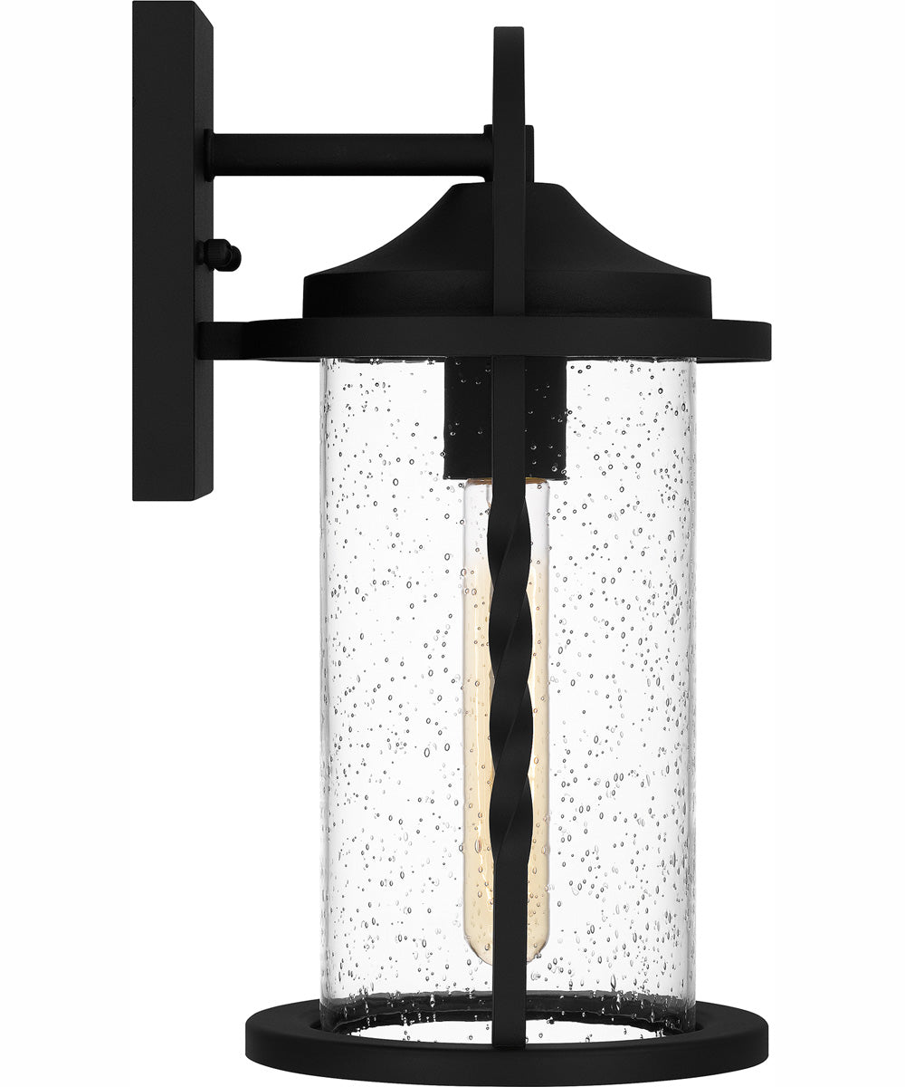Reece Medium 1-light Outdoor Wall Light  Coastal Armour Aluminum Earth Black