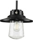 Tremont 1-Light Clear Seeded Glass Farmhouse Style Hanging Mini-Pendant Light Matte Black