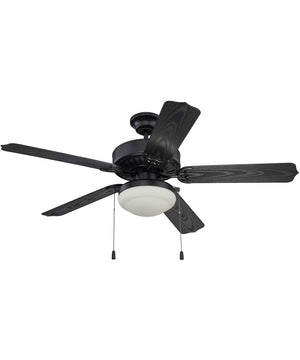 Enduro Plastic with Light Kit 2-Light LED Indoor/Outdoor Ceiling Fan (Blades Included) Matte Black