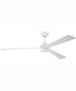 60" Sterling 1-Light Indoor/Outdoor Ceiling Fan White